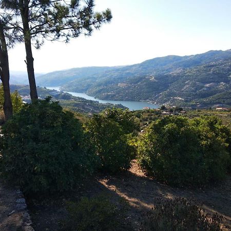 Paraiso Hills - Encostas Do Paraiso: Tranquilidade No Douro Resende Exteriér fotografie