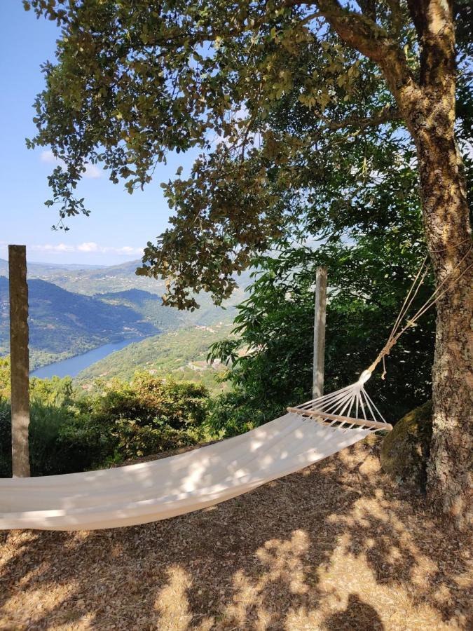 Paraiso Hills - Encostas Do Paraiso: Tranquilidade No Douro Resende Exteriér fotografie