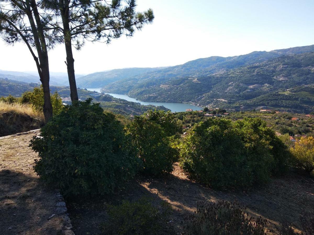 Paraiso Hills - Encostas Do Paraiso: Tranquilidade No Douro Resende Exteriér fotografie